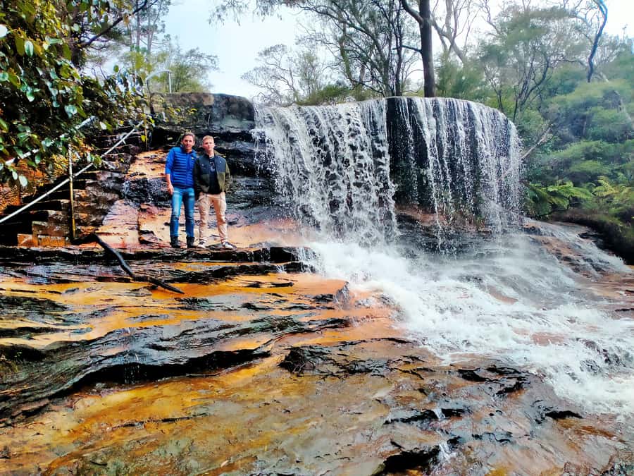 Sydney: Blue Mountains Late Start: Walks, Wildlife & Dinner - Megalong Valley Wildlife Viewing and Late-Day Scenic Stops