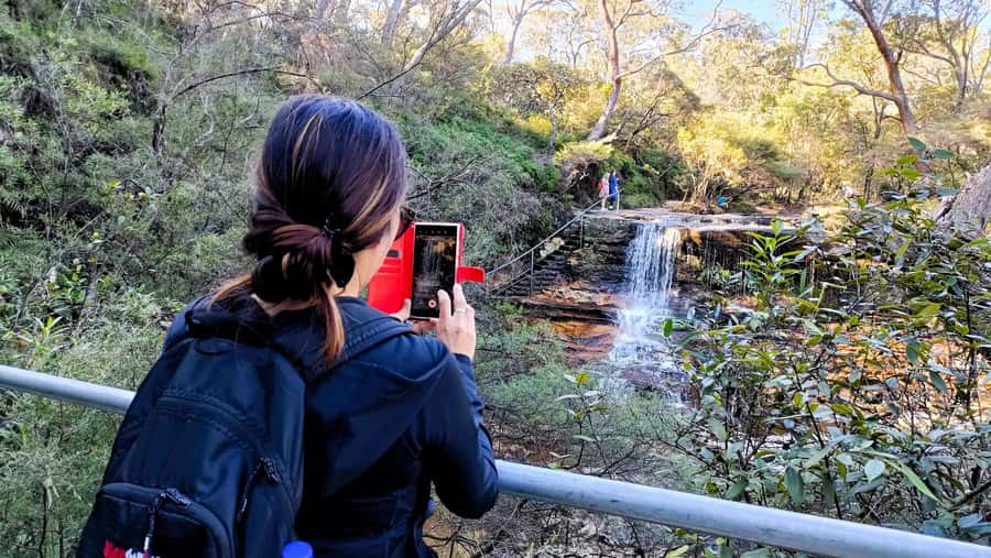 Sydney: Blue Mountains Late Start: Walks, Wildlife & Dinner - Waterfalls, Lookouts, and How the Guide Makes It Feel Effortless