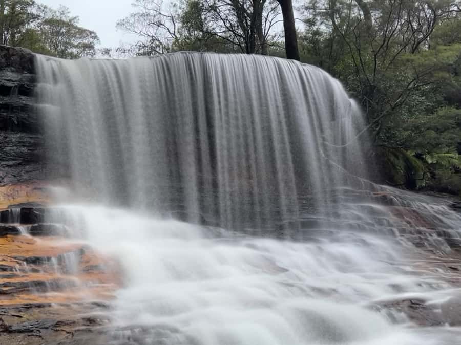 Sydney: Blue Mountains National Park Tour with River Cruise - Blue Mountains in one day, without missing the good stuff