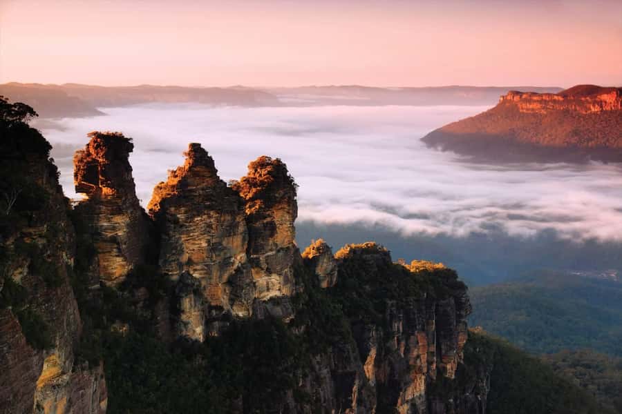 Sydney: Blue Mountains National Park Tour with River Cruise - Sydney Zoo before the mountains: animal variety with an Australian focus