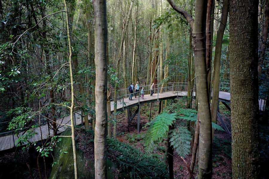 Sydney: Blue Mountains National Park Tour with River Cruise - Scenic World optional rides: cable cars, railway, and a long elevated walkway