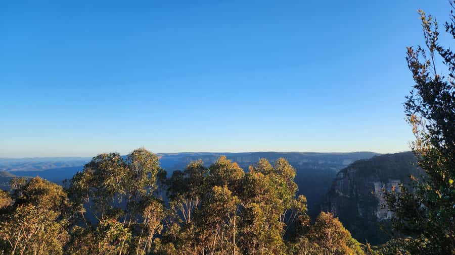 Sydney Blue Mountains, Scenic World, Featherdale - Who this Blue Mountains and Featherdale combo fits best