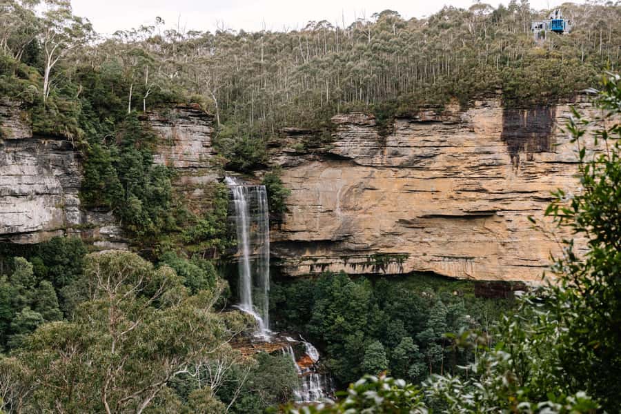 Sydney: Blue Mountains Scenic World, Wildlife Park and Lunch - Final decision: should you book this Blue Mountains day tour?