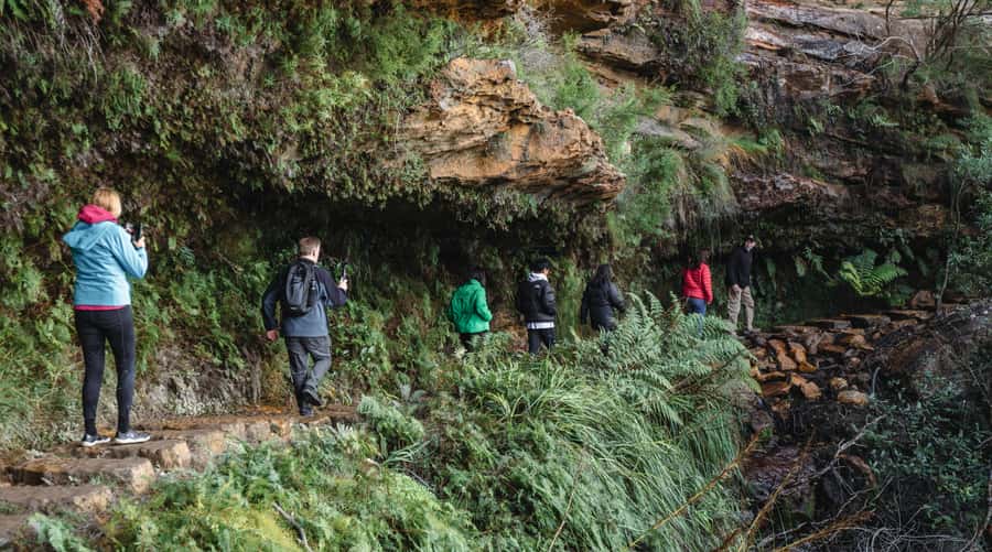 Sydney: Blue Mountains Wildlife & Bushwalk Small-Group Tour - The day plan: from four Sydney pickups to Blue Mountains lookouts