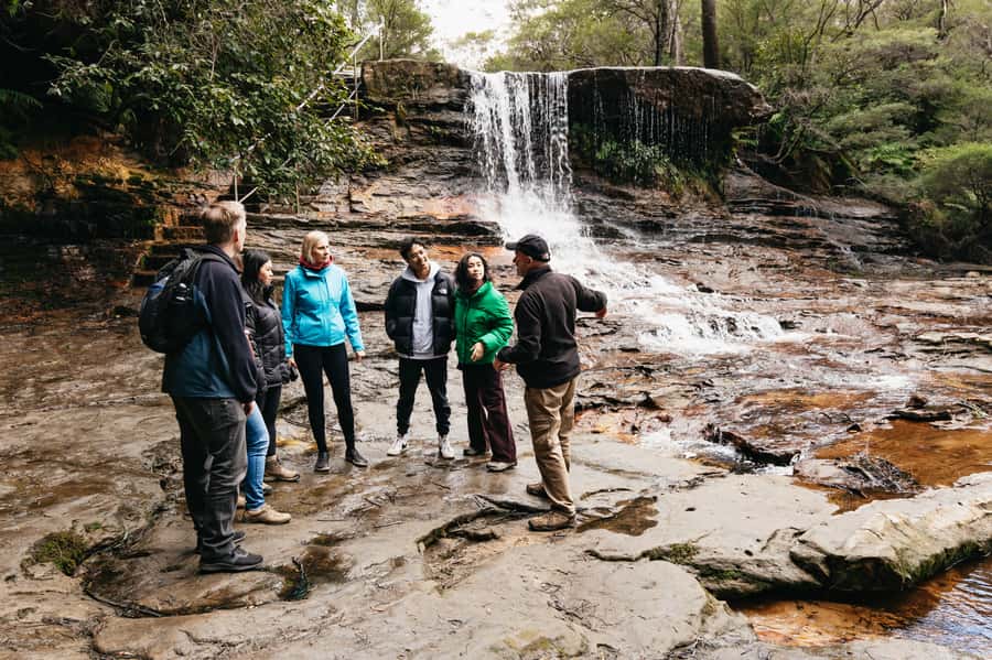 Sydney: Blue Mountains Wildlife & Bushwalk Small-Group Tour - How the guides shape the experience (and why you should care)