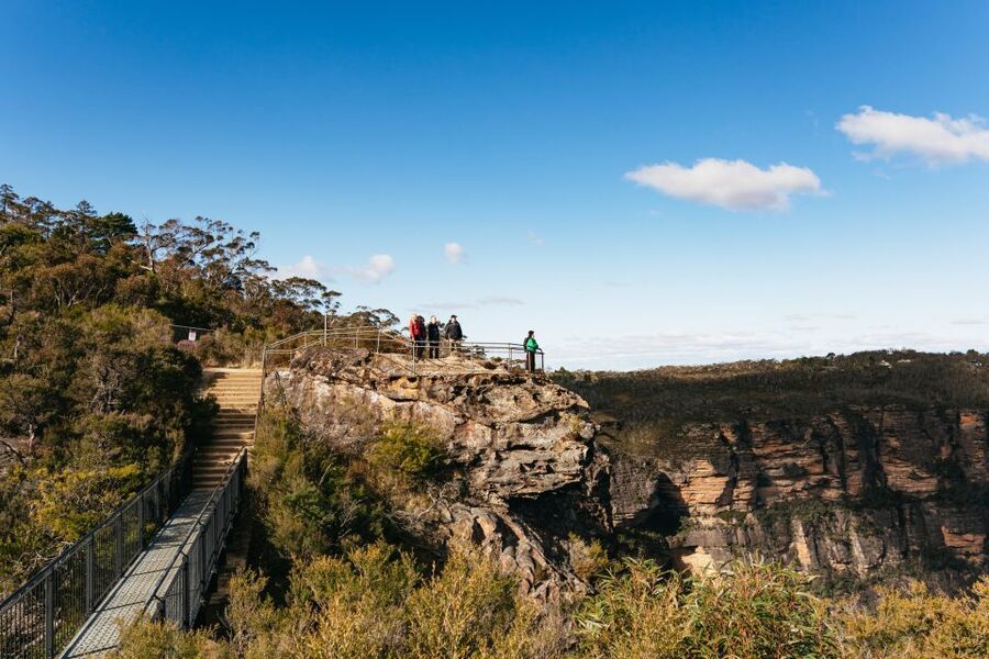 Sydney: Blue Mountains Wildlife & Bushwalk Small-Group Tour - Getting there and back: transport, timing, and what to bring