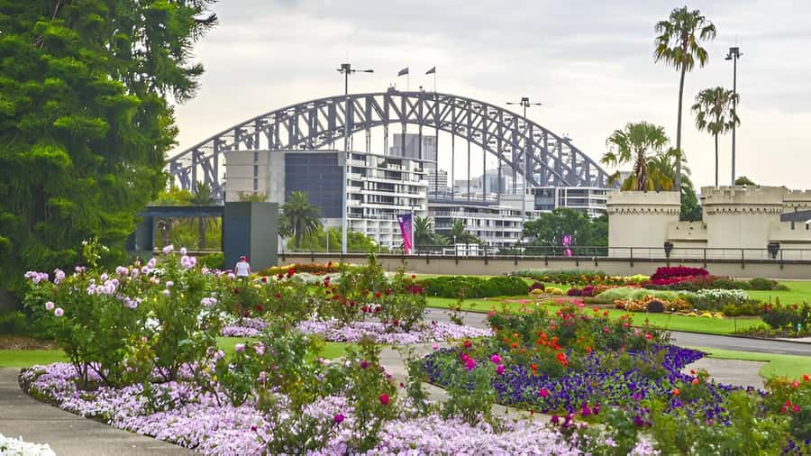 Sydney: Bondi Beach, Opera House & Sydney City Private Tour - Who this tour suits, and who should consider a different fit