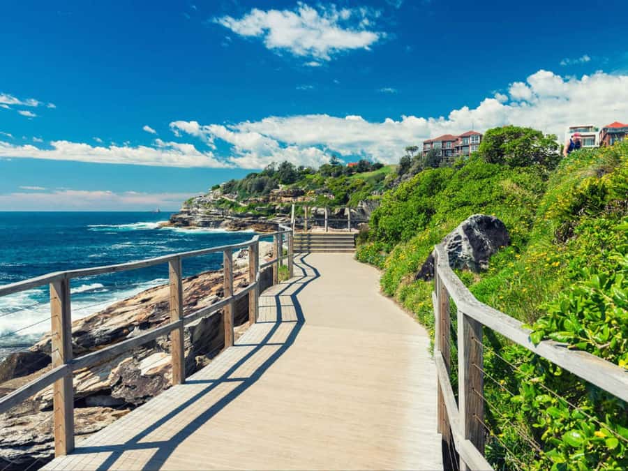 Sydney: Bondi to Coogee Hike with Ala Carte Lunch - The Bondi Icebergs headland segment and coastline photo payoff