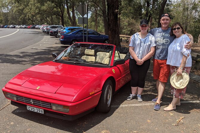 Sydney Bridges and Beaches tour “Vintage Car Ride” Experience - Sydney Harbour Bridge and Anzac Bridge: the Best Angles Are Part of the Ride