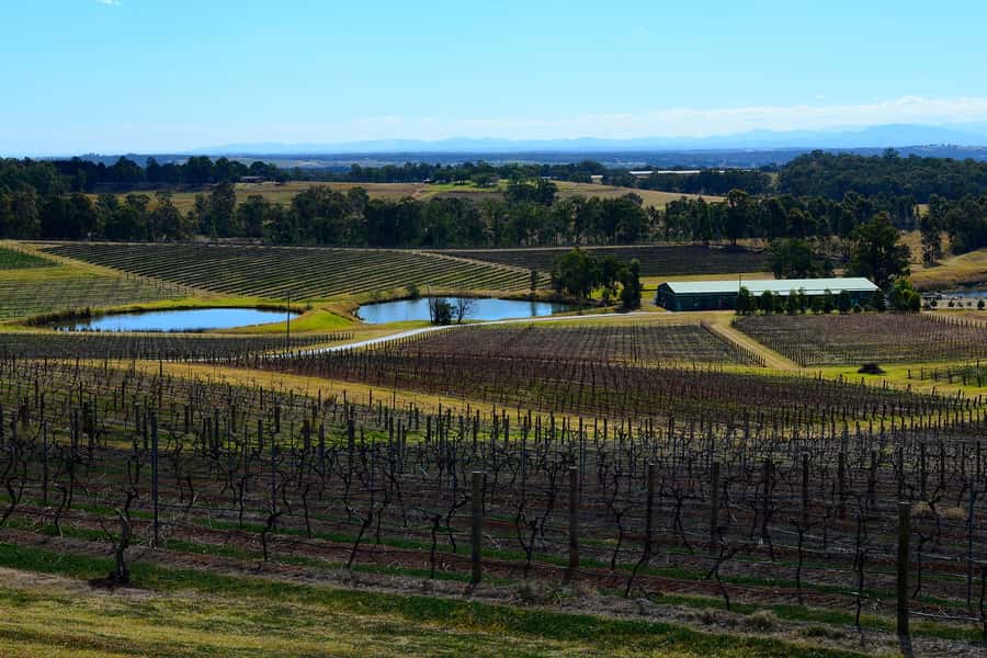 Sydney: Chef-Led Hunter Valley Food & Wine Tour - What You’ll Remember Most