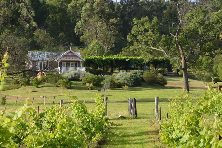 Sydney: Chef-Led Hunter Valley Food & Wine Tour - Sydney Fish Market Morning Start, Cook’s Tour, and Sushi Making Class