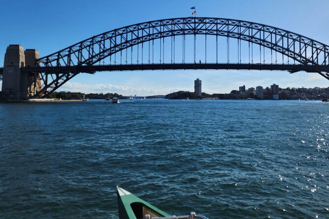 Sydney City and Surrounding Sightseeing Day Tour - Royal Botanic Garden: A Calmer Break Between the Big Stops