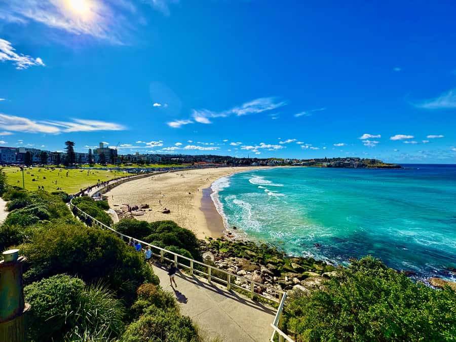 Sydney City Harbour and Coastal Adventure - Entering the comfort of a private Mercedes van in Sydney