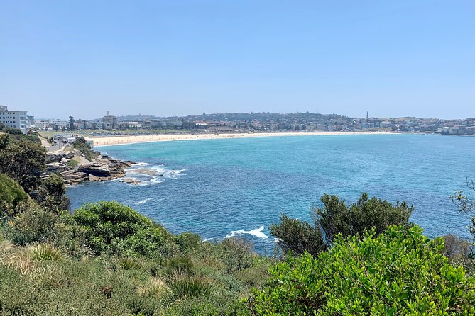 Sydney City, Harbour & Bondi Private Tour, with Airport pick up or drop off - Key things I’d bet on before you book