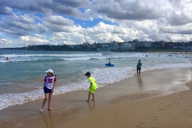 Sydney City, Harbour & Bondi Private Tour, with Airport pick up or drop off - Who leads this tour, and what that means for you