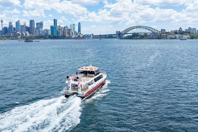 Sydney City Hidden Gem Half Day Small Group Tour - The Gap and Watsons Bay: cliff viewpoints and Tasman Sea drama