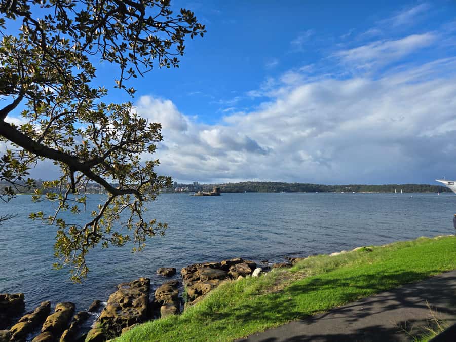 Sydney: City Hidden Gem Half-Day Tour - A 3.5-hour Sydney route that gets your bearings fast