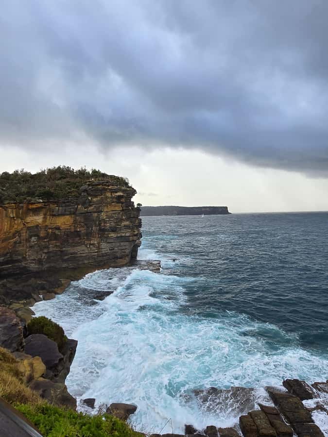 Sydney: City Hidden Gem Half-Day Tour - St. Mary’s Cathedral and Gap Park, a break between sea and city