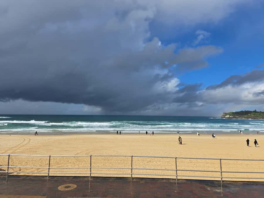 Sydney: City Hidden Gem Half-Day Tour - Should you book this Sydney small-group tour?