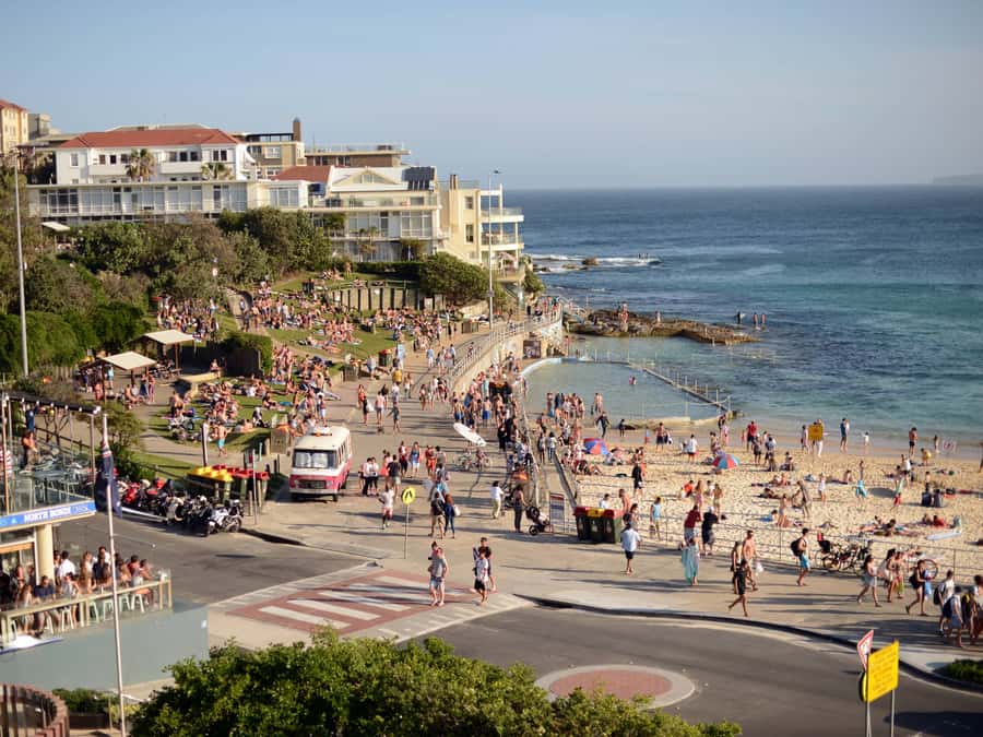 Sydney: City Highlights Guided Bus Tour - Key highlights to notice before you go