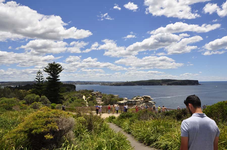 Sydney: City Highlights Guided Bus Tour - Mrs Macquarie’s Point to Fort Denison: classic harbour moments, built for photos