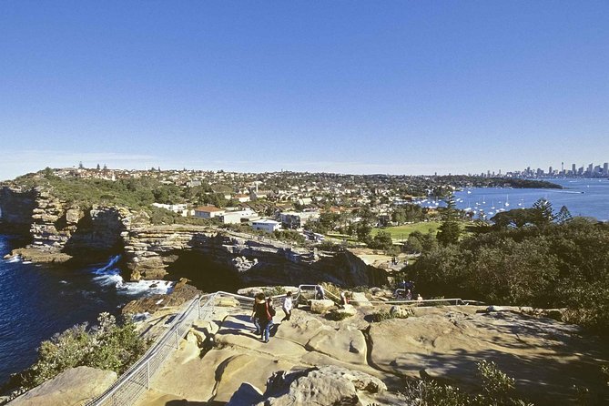 Sydney City Highlights & Hidden Gems: Private or Small Group Tour - Paddington and the texture of Sydney beyond the beach