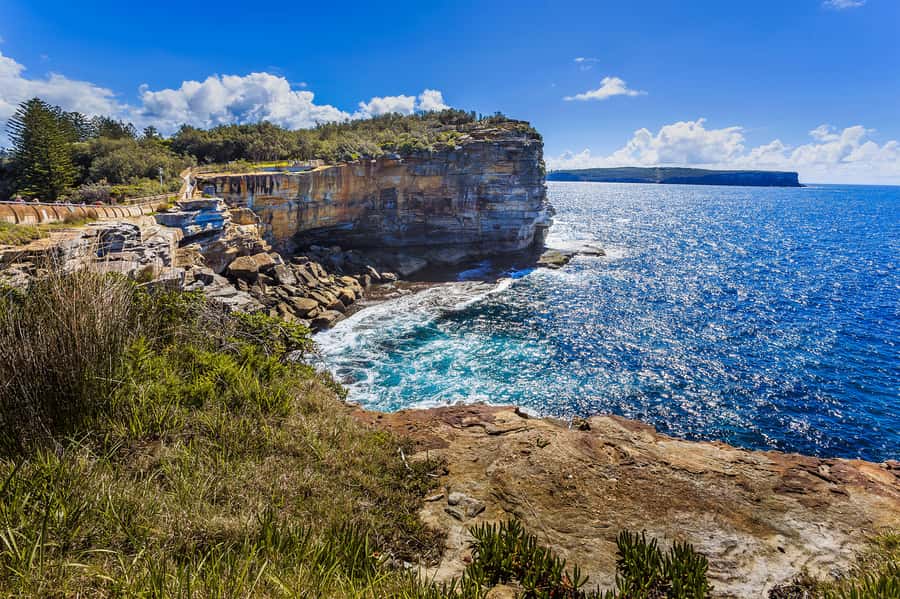Sydney: City Highlights Private Half-Day Tour - Getting your bearings fast with a private 4-hour route