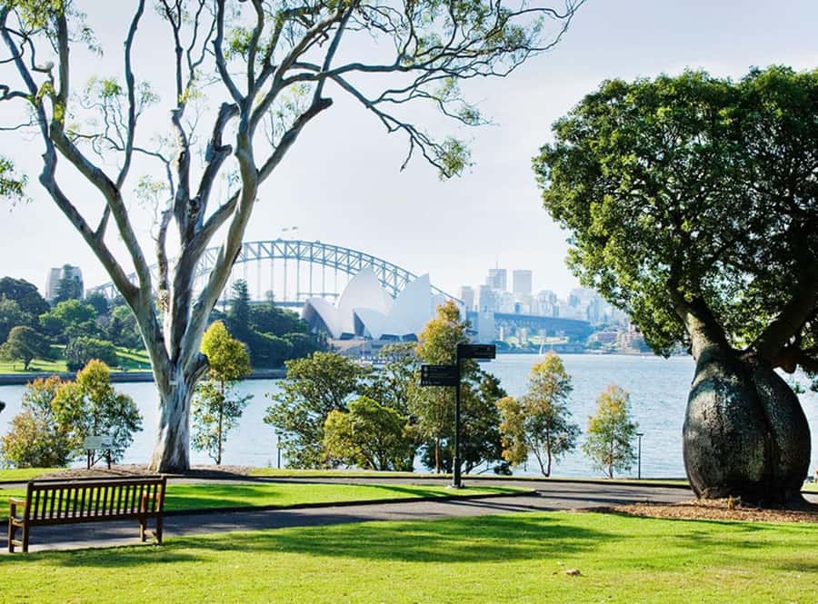 Sydney: City Hike with Opera Bar Lunch - Your time in Sydney, shaped by a 5 hour walking route