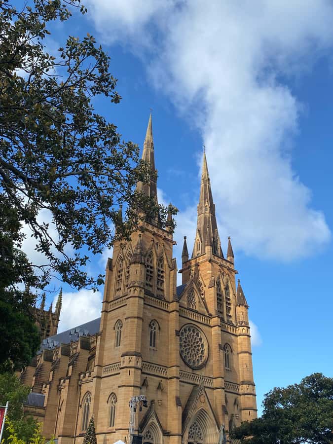 Sydney City Historic Walking Tour - Sydney Town Hall to Hyde Park: what the 2-hour route feels like
