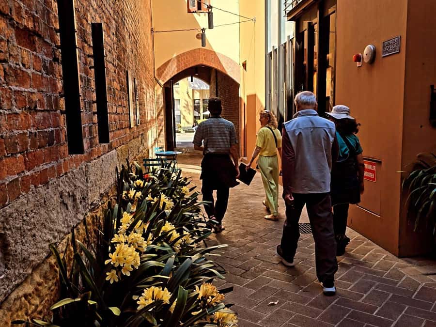 Sydney: City Sights Walking Tour - Price and value: what you get for around $46
