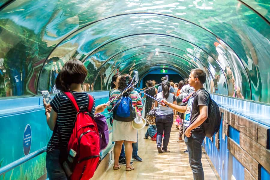 Sydney: Combo Pass for 2, 3, or 4 Top City Attractions - How This Combo Pass Works: 2, 3, or 4 Attractions, Used Your Way