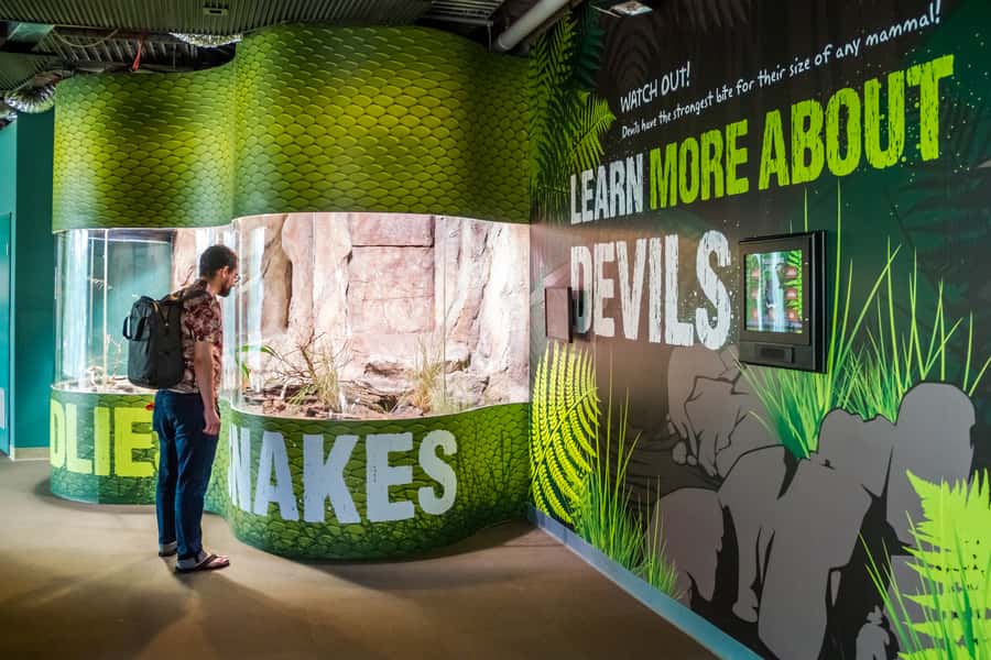 Sydney: Combo Pass for 2, 3, or 4 Top City Attractions - Sydney Aquarium at Darling Harbour: Why This Is the Best First Stop