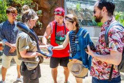 Combo Pass for 2, 3, or 4 Top City Attractions
