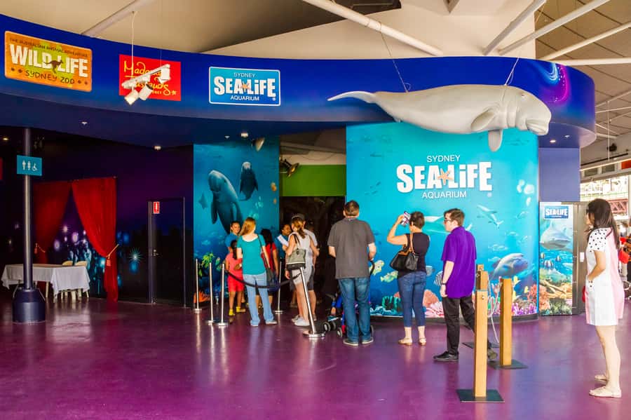 Sydney: Combo Pass for 2, 3, or 4 Top City Attractions - Sydney Tower Eye: Breathtaking Views, Plus the Timeslot Requirement