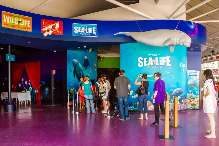 Sydney: Combo Pass for 2, 3, or 4 Top City Attractions - Where These Stops Fit in Sydney: Built for a Flexible, Nearly Walkable Plan