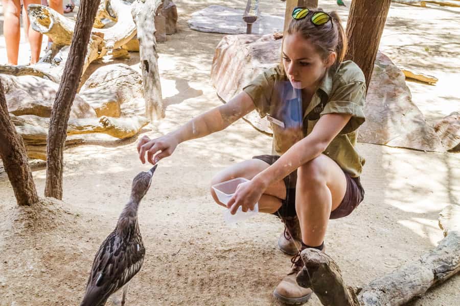 Sydney: Combo Pass for 2, 3, or 4 Top City Attractions - Price and Value: When $38 Starts to Make Sense