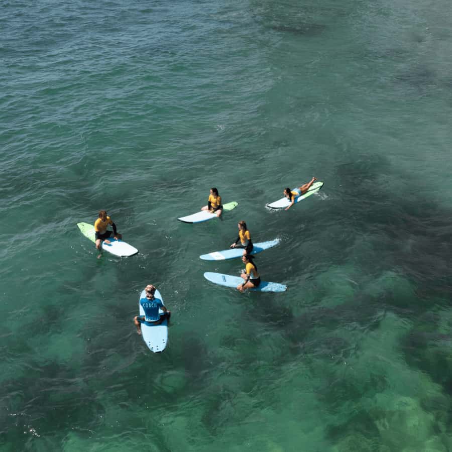 Sydney: Dee Why Beach Group Surfing Lesson - Ocean Safety That Keeps the Day Fun