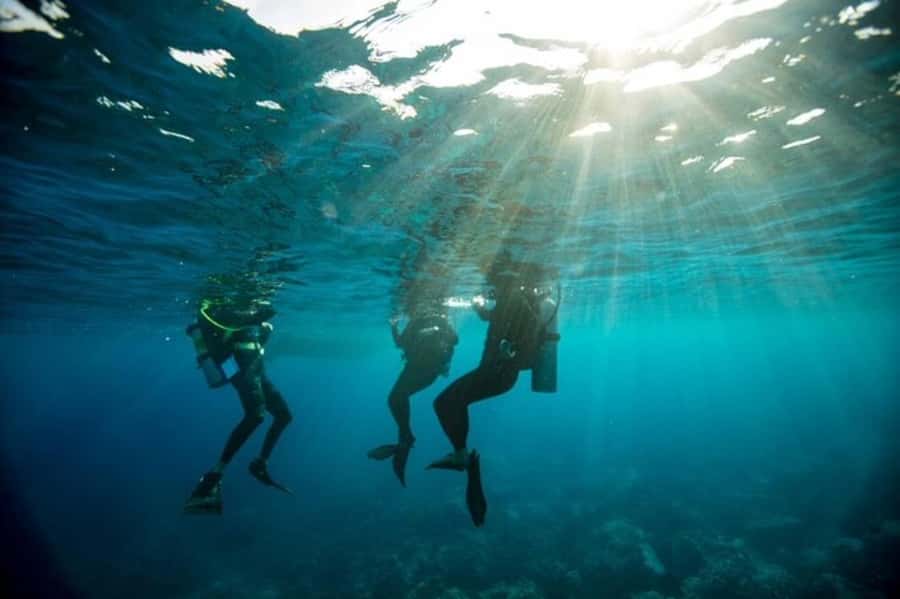 Sydney: Discover Scuba Dive at Australia's most Iconic Beach - Key Points to Know Before You Go