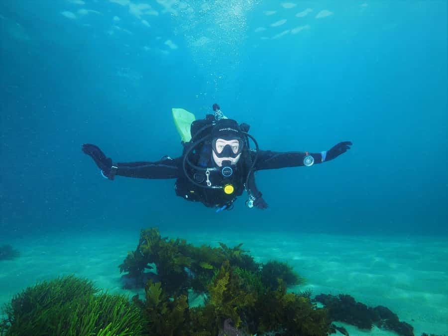 Sydney: Discover Scuba Dive at Australia's most Iconic Beach - Safety Coaching and That 2:1 Ratio That Changes Everything
