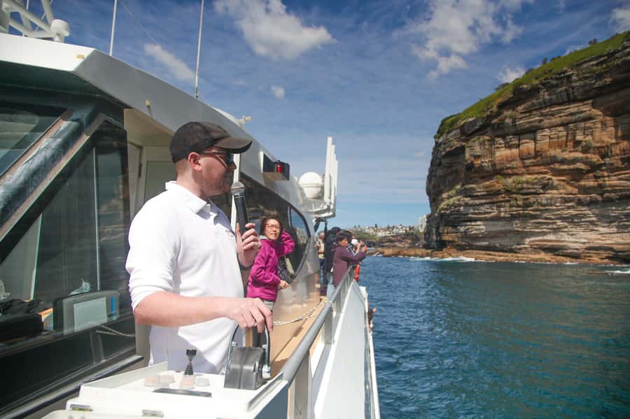 Sydney: Discovery Whale Watching Tour by Catamaran - Photographer Included, and Why That Can Save Your Trip