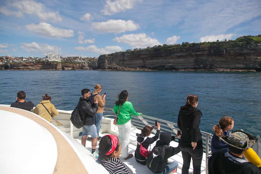 Sydney: Discovery Whale Watching Tour by Catamaran - Seasickness and Choppy Water Reality Check