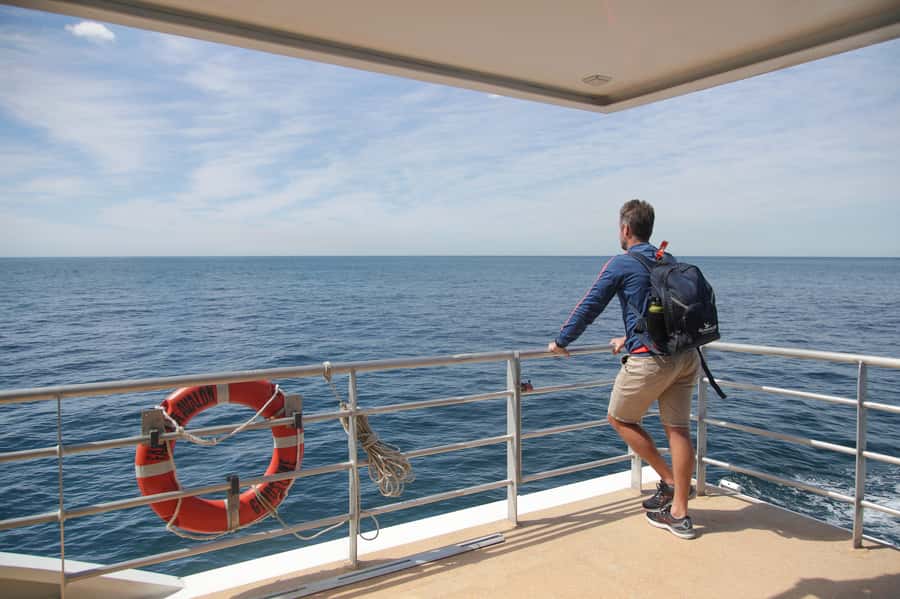 Sydney: Discovery Whale Watching Tour by Catamaran - Before You Step Onboard at Aquarium Wharf