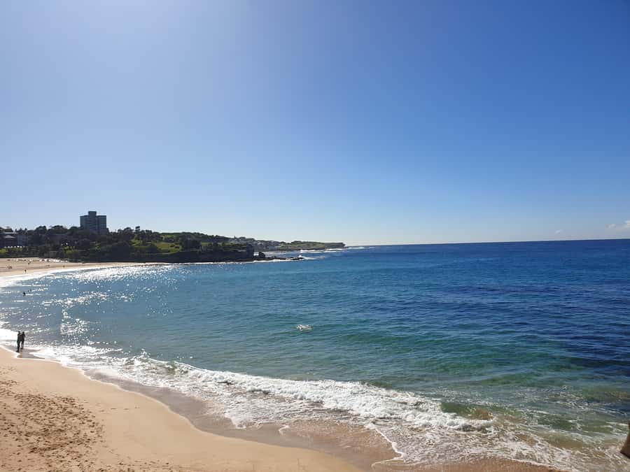 Sydney East Coast Tour (Private) - Bondi Beach, plus lunch time you can plan around