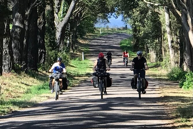 Sydney Electric Mountain Bike Guided Tour - Beginner to pro, without the ego trip