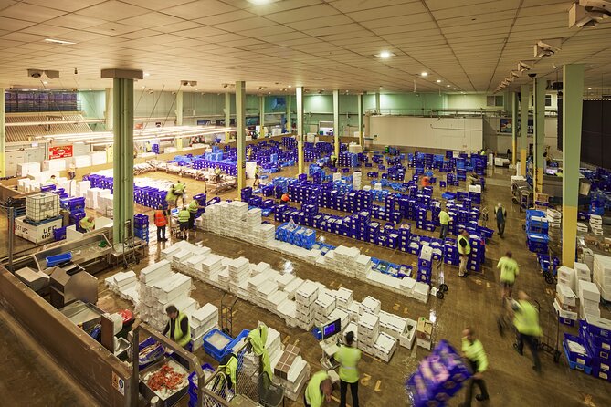 Sydney Fish Market Behind the Scenes Tour - Key things you will notice