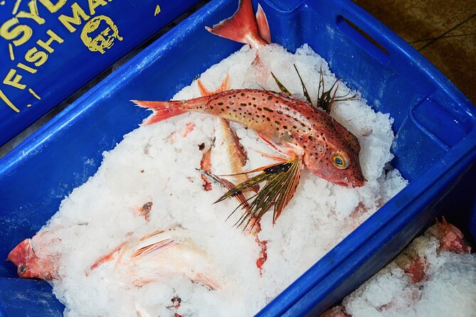 Sydney Fish Market Behind the Scenes Tour - Live demos you can actually watch, tuna filleting, lobster life, sushi prep, oysters