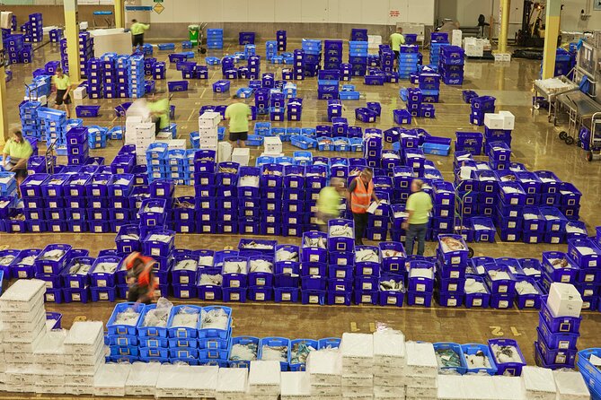 Sydney Fish Market Behind the Scenes Tour - Where the 2 hours go, and how the small group changes the experience