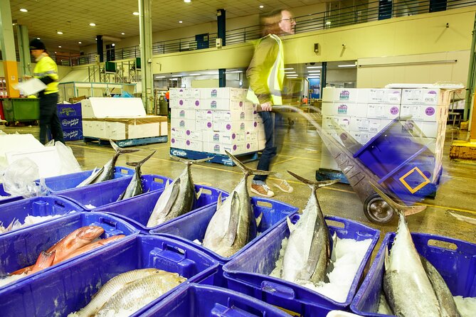 Sydney Fish Market Behind the Scenes Tour - Should you book this Sydney Fish Market Behind the Scenes Tour?