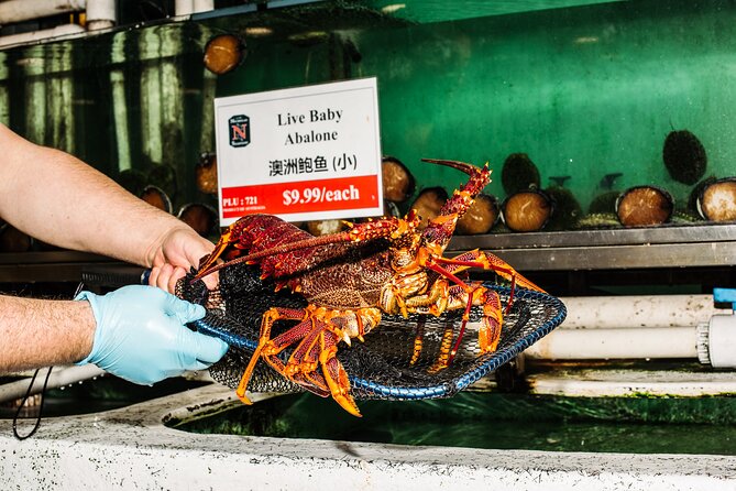 Sydney Fish Market Discovery Tour - Who this tour suits best