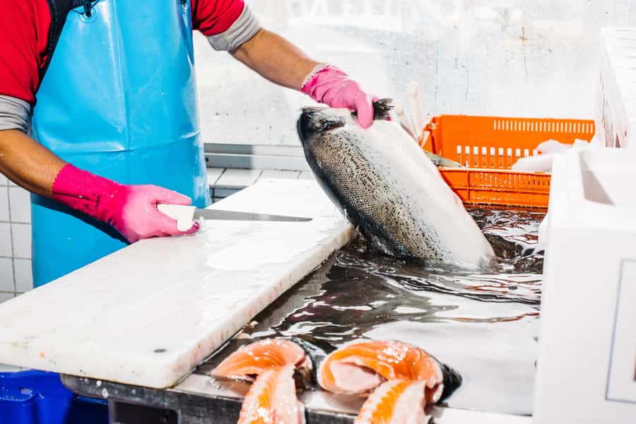 Sydney: Fish Market Food Tour - The sashimi lesson: what you should take home and how to use it
